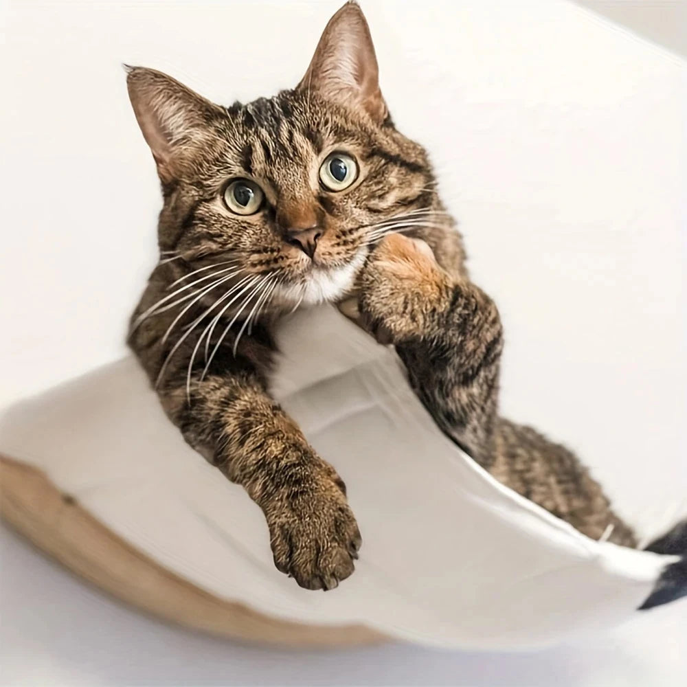 Cat Hammock Wall Mounted Cat Shelf Cat Wall Shelves and Perches Modern Cat Bed & Furniture for Large Cats or Kitty