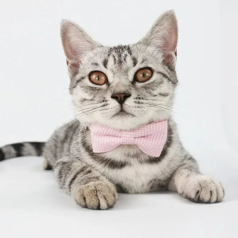 Cute Cat Collar with Bow Tie Adjustable Design Pet Dogs Cats Puppy Necklace Pet Supplies