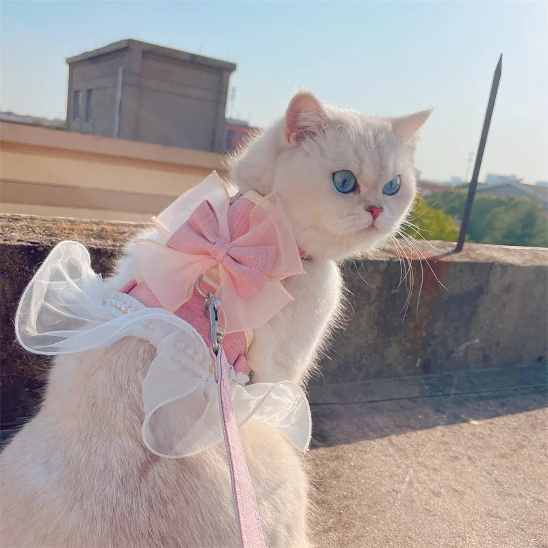 Dog Cat Harness Leash Set Adjustable Lace Bowknot Pet Harnesses Cute Puppy Dog Princess Dress Skirt Walking Lead Chihuahua York