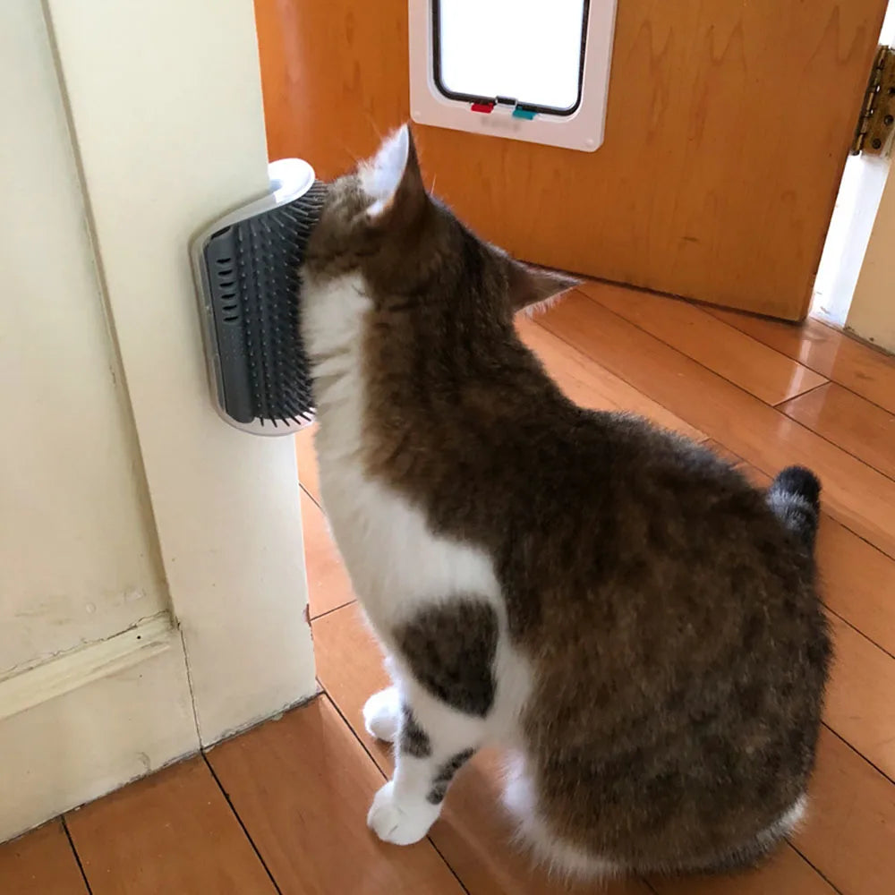 Pet Cat Brush Massage Device Hair Removal Comb Cat Toy Plastic Scratch Bristles Arch Massager Self Grooming Cat Corner Scratcher